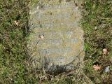 image of grave number 63300